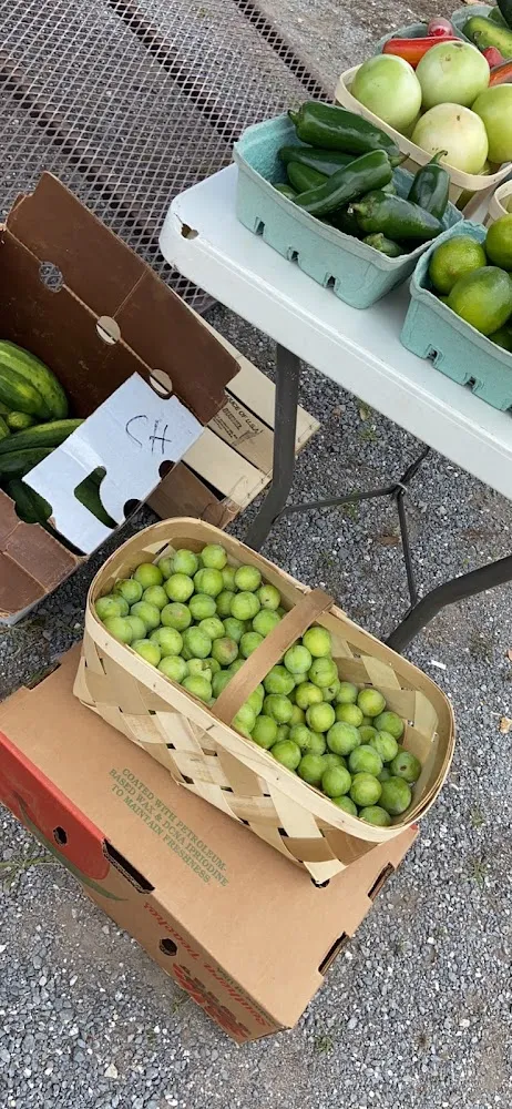 Greengage